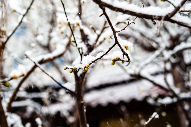 管理